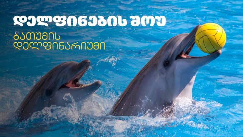 დელფინების შოუ