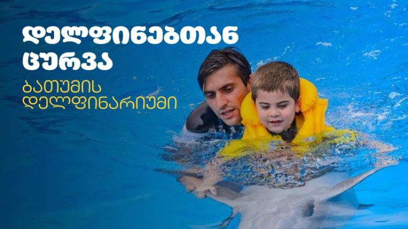 დელფინებთან ცურვა